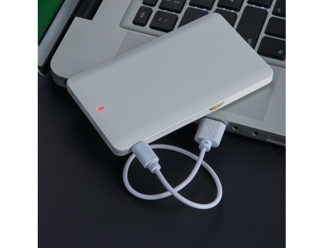 Power Bank Plstico.